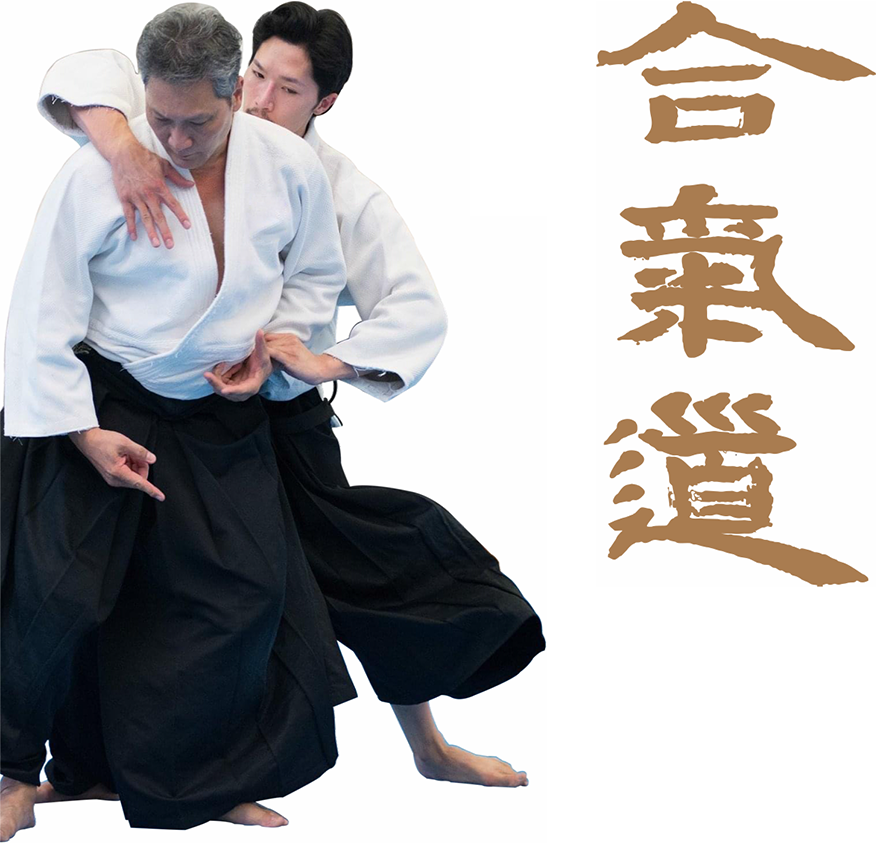 Art Of Aikido